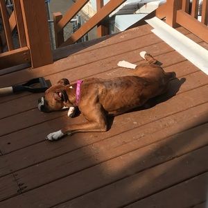 Meet your Posher, Brian